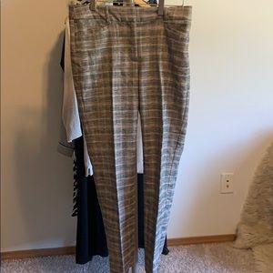 Suit pants
